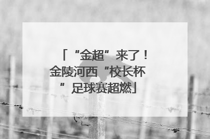 “金超”来了！金陵河西“校长杯”足球赛超燃
