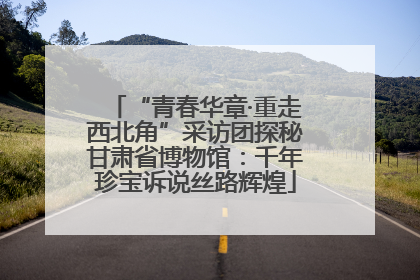 “青春华章·重走西北角”采访团探秘甘肃省博物馆：千年珍宝诉说丝路辉煌