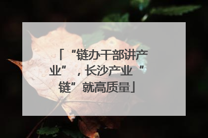 “链办干部讲产业”，长沙产业“链”就高质量