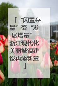 “闲置存量”变“发展增量” 浙江现代化美丽城镇建设再添新意