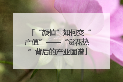 “颜值”如何变“产值”——“赏花热”背后的产业图谱