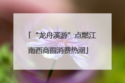 “龙舟溪游”点燃江南西商圈消费热潮