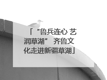 “鲁兵连心 艺润草湖” 齐鲁文化走进新疆草湖