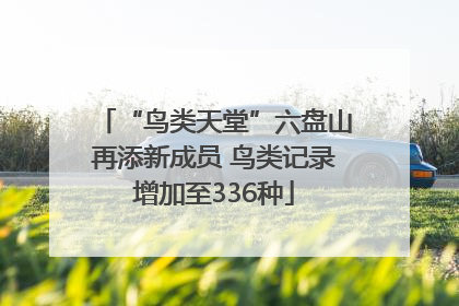 “鸟类天堂”六盘山再添新成员 鸟类记录增加至336种