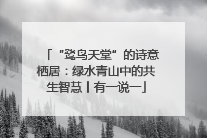 “鹭鸟天堂”的诗意栖居：绿水青山中的共生智慧丨有一说一