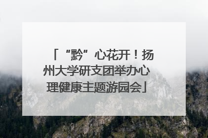 “黔”心花开！扬州大学研支团举办心理健康主题游园会