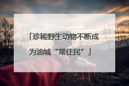 珍稀野生动物不断成为油城“常住民”