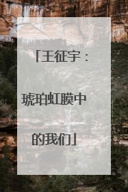 王征宇：琥珀虹膜中的我们