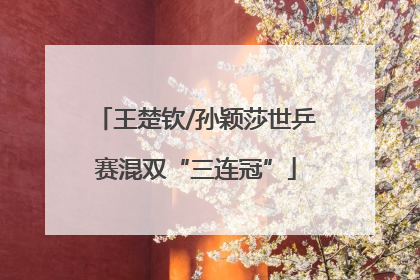 王楚钦/孙颖莎世乒赛混双“三连冠”