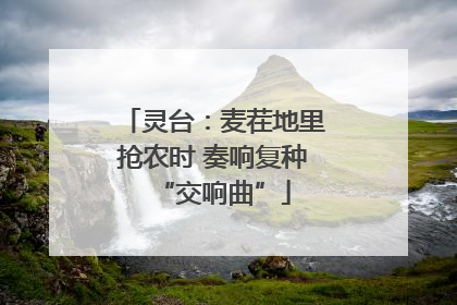 灵台：麦茬地里抢农时 奏响复种“交响曲”