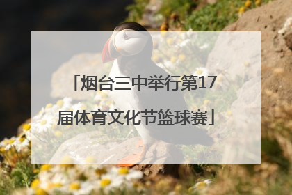 烟台三中举行第17届体育文化节篮球赛