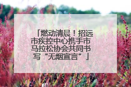 燃动清晨！招远市疾控中心携手市马拉松协会共同书写“无烟宣言”