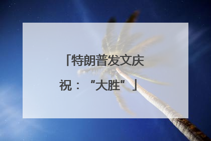 特朗普发文庆祝：“大胜”