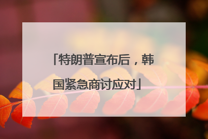 特朗普宣布后，韩国紧急商讨应对