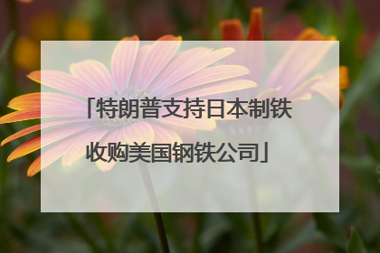 特朗普支持日本制铁收购美国钢铁公司