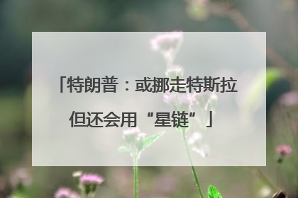 特朗普：或挪走特斯拉 但还会用“星链”