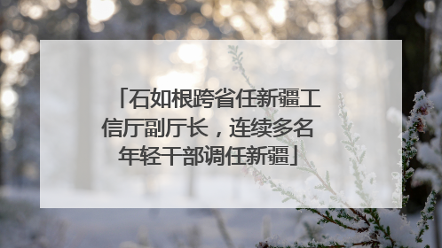 石如根跨省任新疆工信厅副厅长，连续多名年轻干部调任新疆