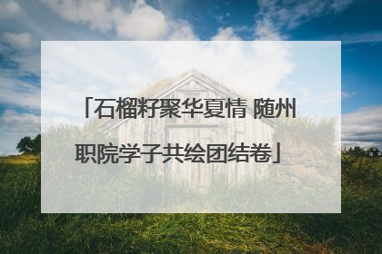石榴籽聚华夏情 随州职院学子共绘团结卷