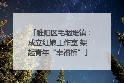 睢阳区毛堌堆镇：成立红娘工作室 架起青年“幸福桥”