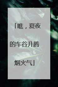 瞧，夏夜的车谷升腾烟火气