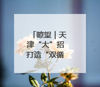 瞭望｜天津“大”招打造“双循环支点”