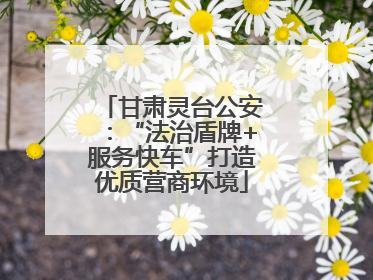 甘肃灵台公安：“法治盾牌+服务快车”打造优质营商环境