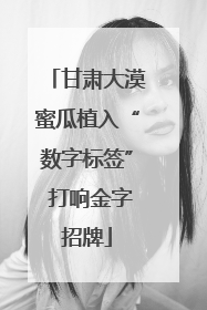 甘肃大漠蜜瓜植入“数字标签” 打响金字招牌
