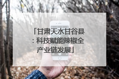 甘肃天水甘谷县：科技赋能辣椒全产业链发展