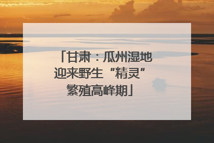 甘肃：瓜州湿地迎来野生“精灵”繁殖高峰期