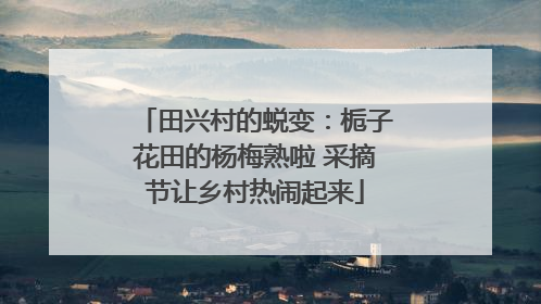 田兴村的蜕变：栀子花田的杨梅熟啦 采摘节让乡村热闹起来