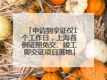 申请到拿证仅1个工作日，上海首例证照免交、竣工即交证项目落地