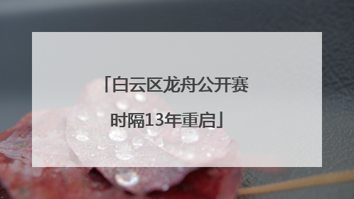 白云区龙舟公开赛时隔13年重启