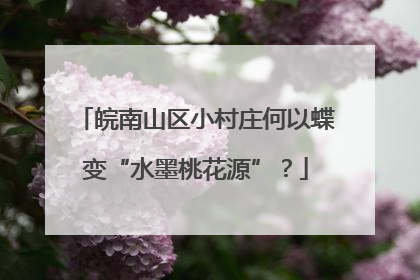 皖南山区小村庄何以蝶变“水墨桃花源”？