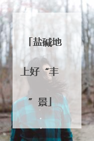 盐碱地上好“丰”景