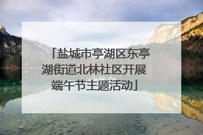 盐城市亭湖区东亭湖街道北林社区开展端午节主题活动