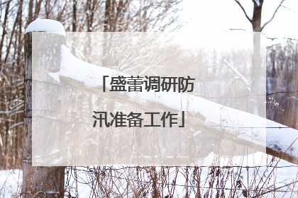 盛蕾调研防汛准备工作