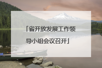 省开放发展工作领导小组会议召开