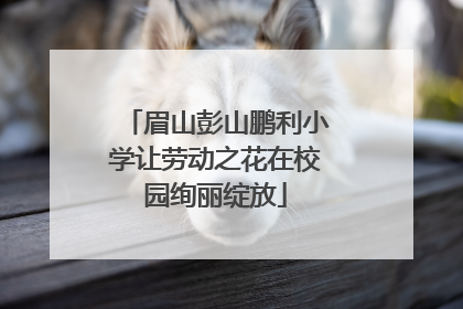 眉山彭山鹏利小学让劳动之花在校园绚丽绽放