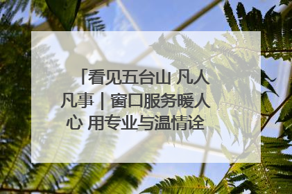 看见五台山 凡人凡事｜窗口服务暖人心 用专业与温情诠释责任担当