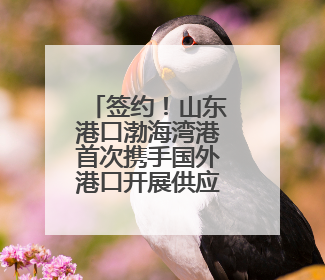 签约！山东港口渤海湾港首次携手国外港口开展供应链合作