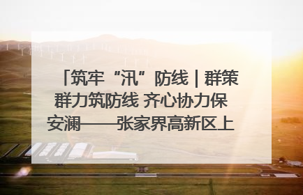 筑牢“汛”防线｜群策群力筑防线 齐心协力保安澜——张家界高新区上下众志成城迎战汛情