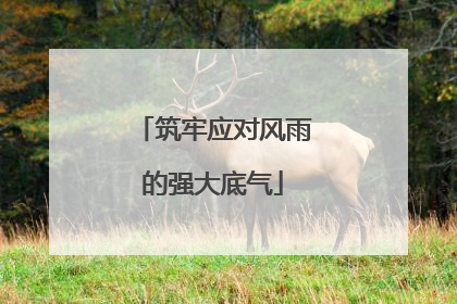 筑牢应对风雨的强大底气