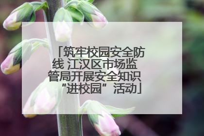 筑牢校园安全防线 江汉区市场监管局开展安全知识“进校园”活动