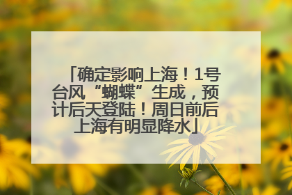确定影响上海！1号台风“蝴蝶”生成，预计后天登陆！周日前后上海有明显降水