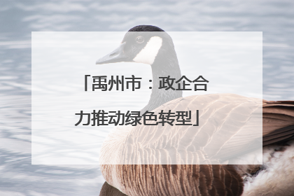 禹州市：政企合力推动绿色转型
