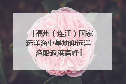 福州（连江）国家远洋渔业基地迎远洋渔船返港高峰
