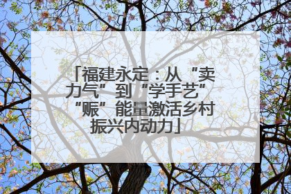 福建永定：从“卖力气”到“学手艺”“赈”能量激活乡村振兴内动力
