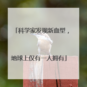 科学家发现新血型，地球上仅有一人拥有