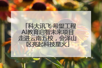 科大讯飞·希望工程AI教育启智未来项目走进云南五校，会泽山区亮起科技星火