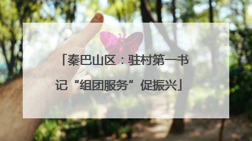 秦巴山区：驻村第一书记“组团服务”促振兴